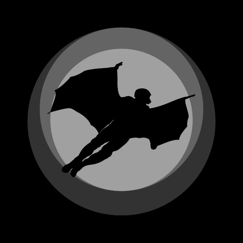 Wingsuit Flying Suit Glider