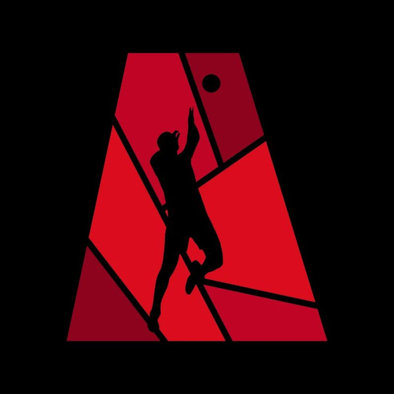 Volleyball player net