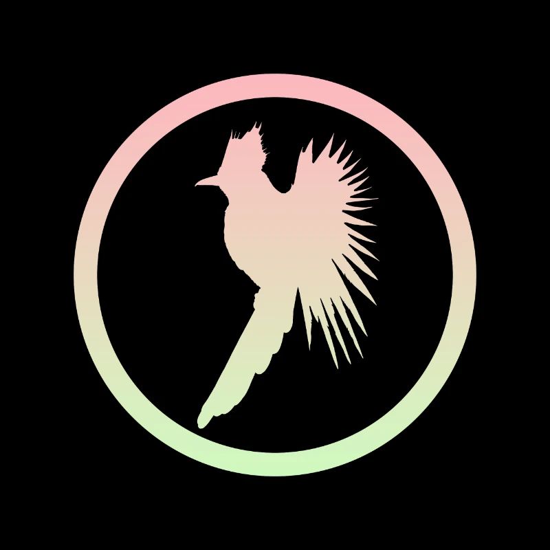 Oiseau, calopsitte, oiseau