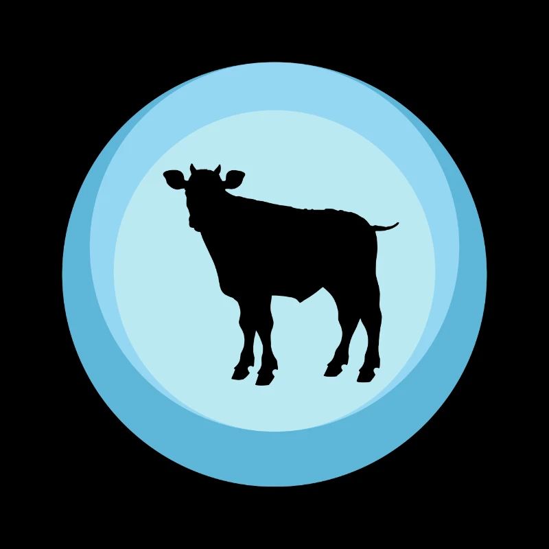 Kuh Stier Stier