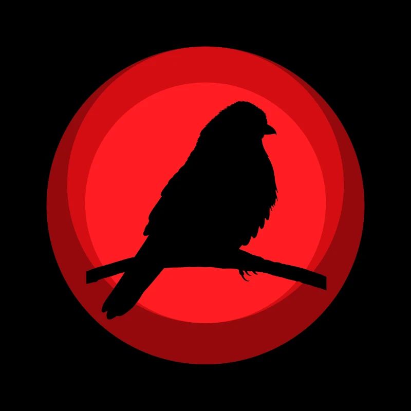 Perruche, Des Animaux, Oiseaux