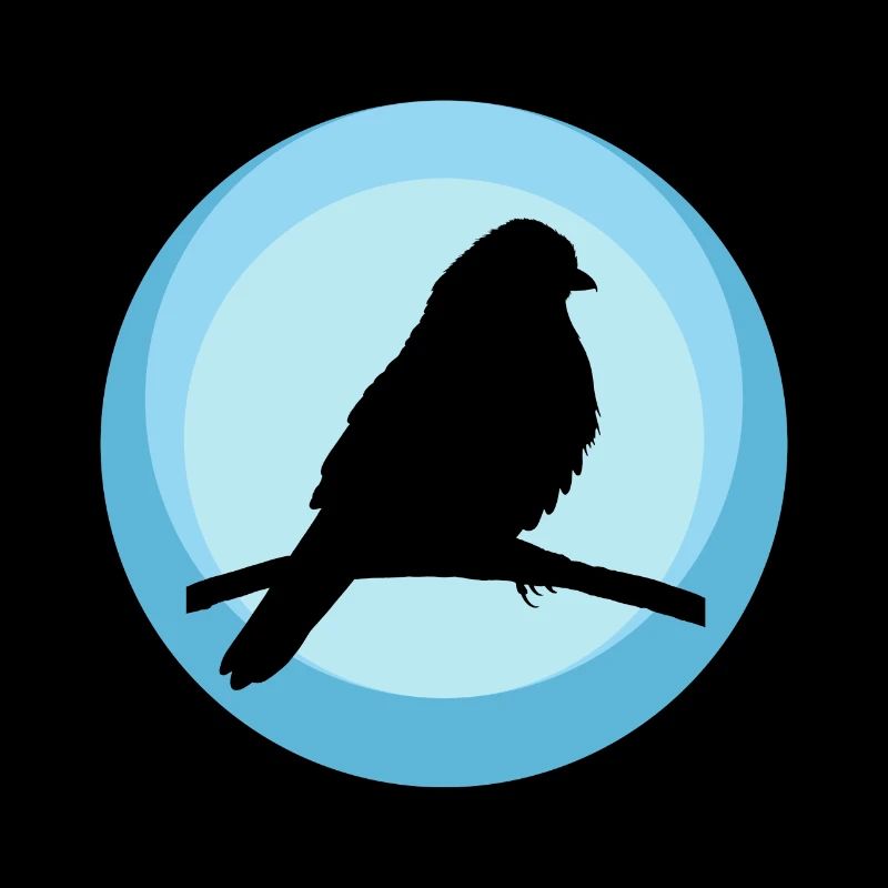 Perruche Oiseau Illustration Perruche