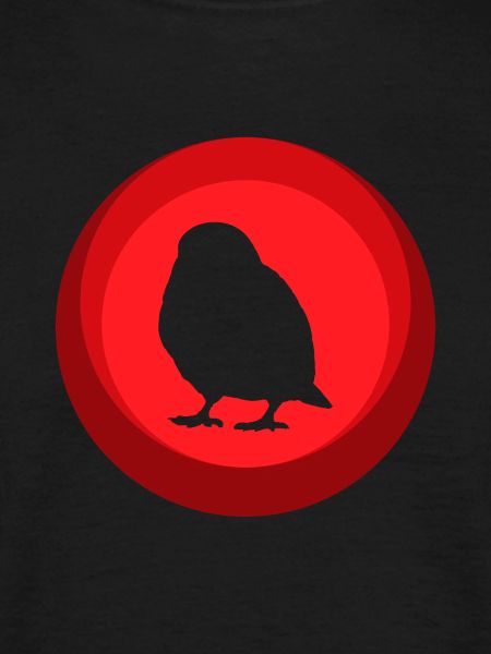 Bird Budgie Birds