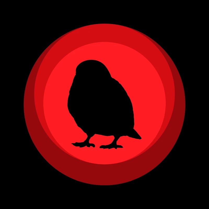 Bird Budgie Birds