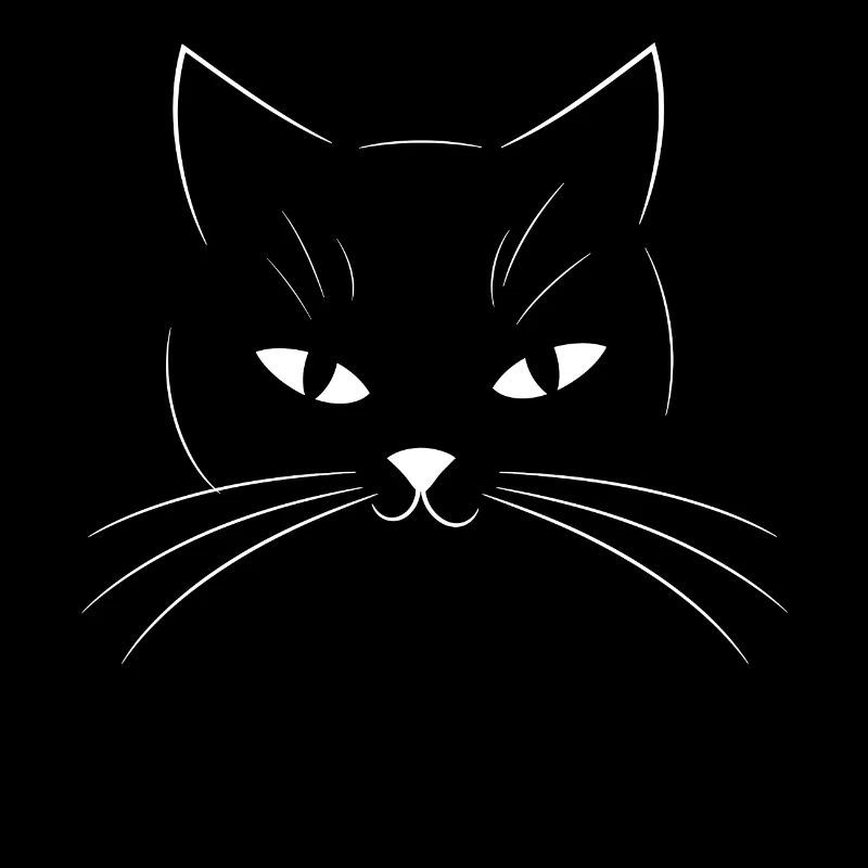 Katze Katzen Chat Chats