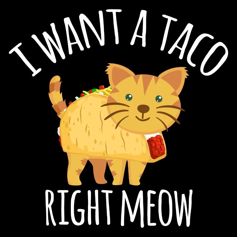 Katze Taco