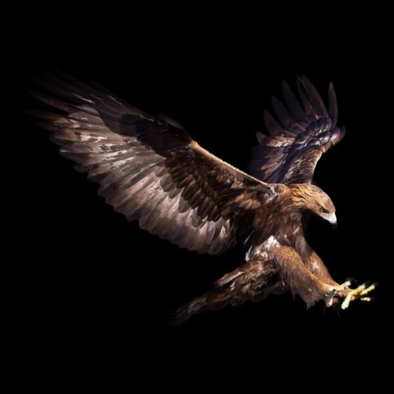 Flying Eagle