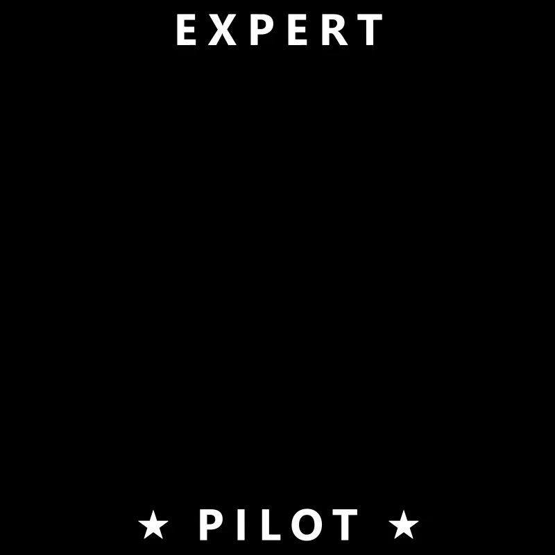 Expert Pilot