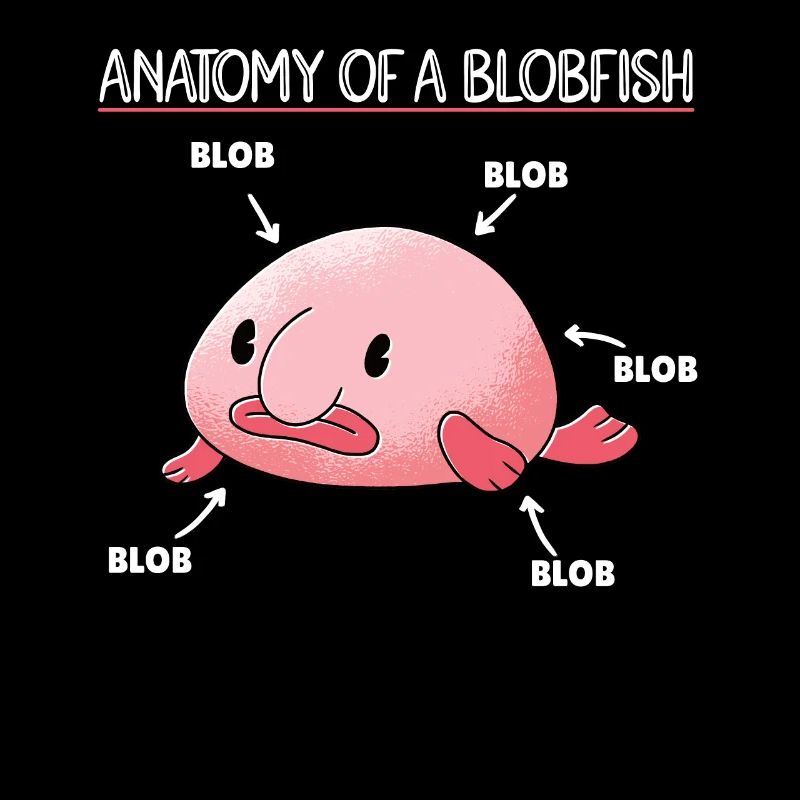 Blobfish Explication Anatomie d’un Blobfish
