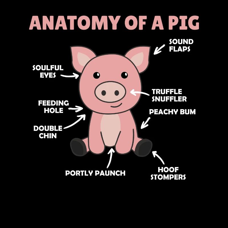 lustige Erklärung eines Schweins die Anatomie