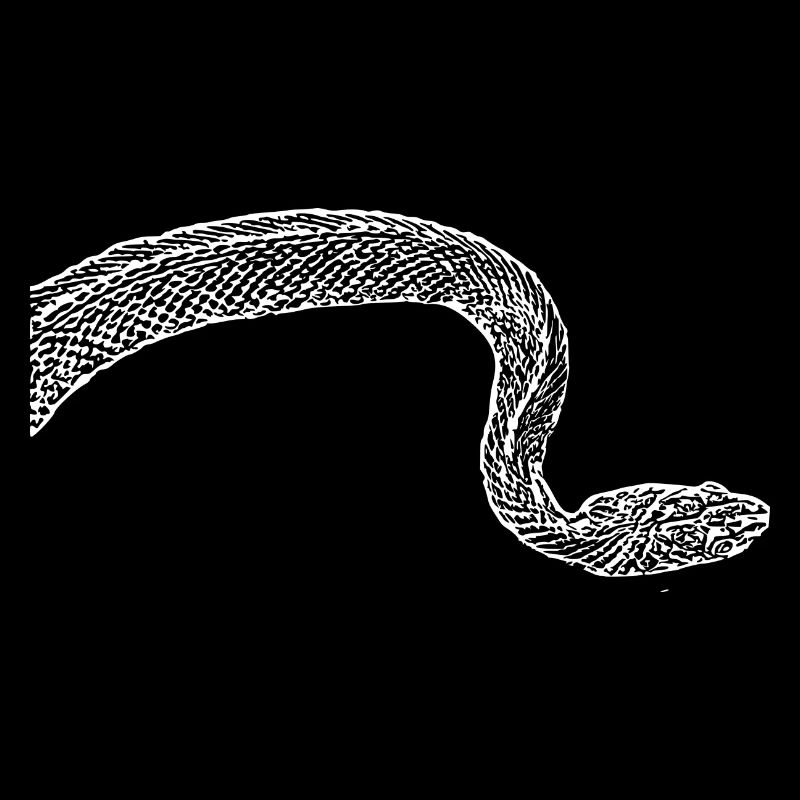 Snake Snakes