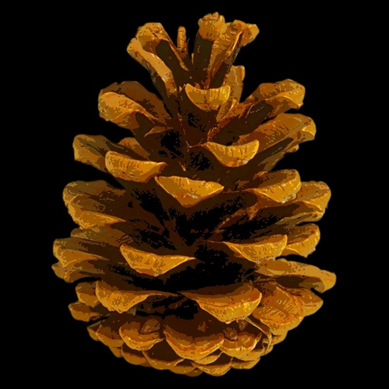 Pomme de pin