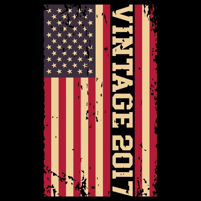 Vintage 2017 US Flagge