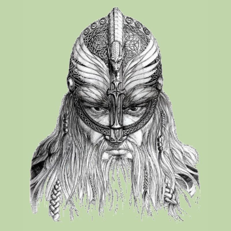 Vikinger 2
