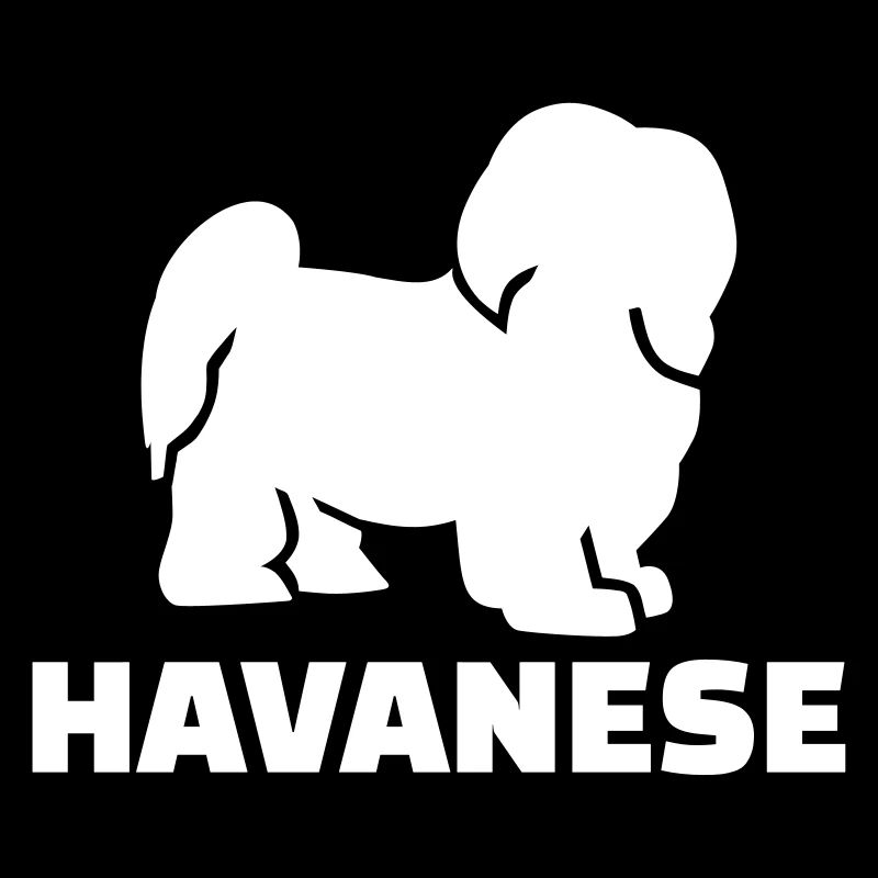 Havanese