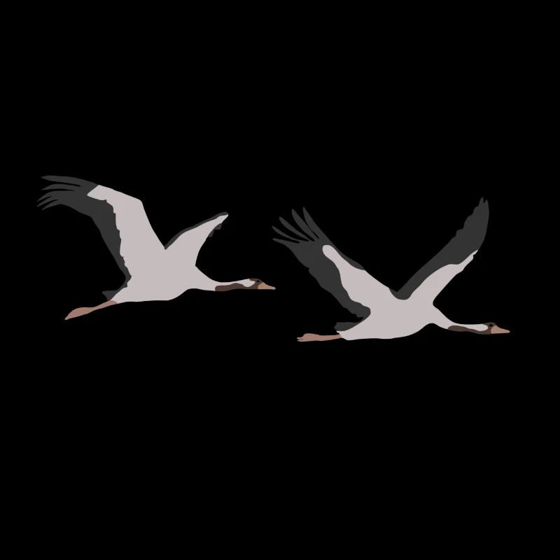 Grues, grue commune, grue eurasienne