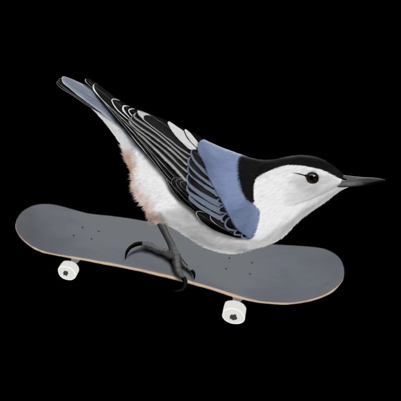 Carolina Nuthatch Skateboard Bird Biologist