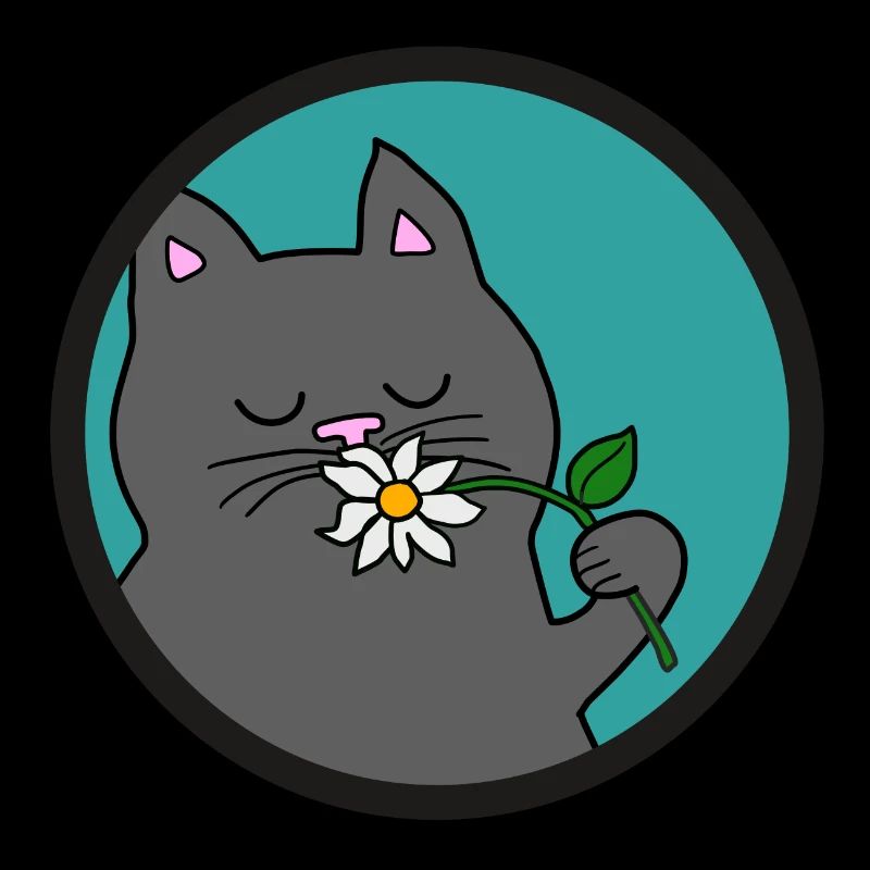 Gray Summer Cat