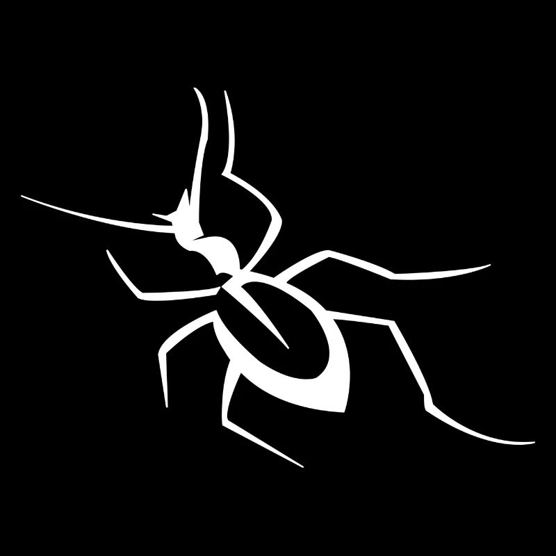 Insecte