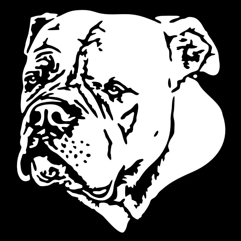 379 bouledogue blanc