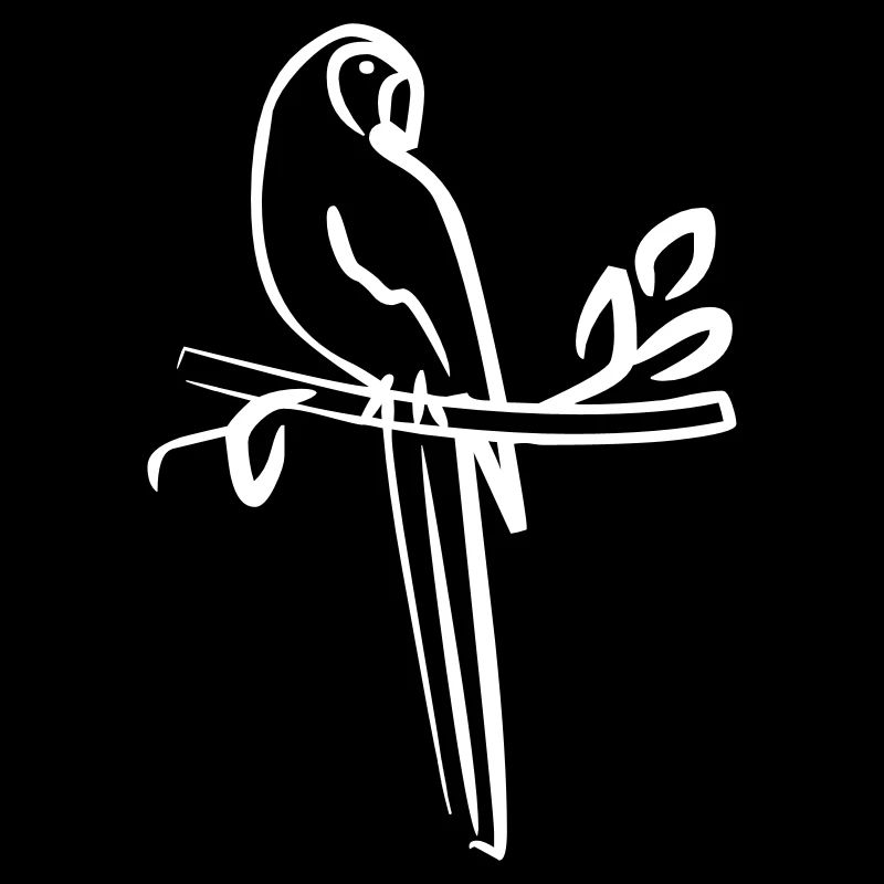 Parrot on a branch