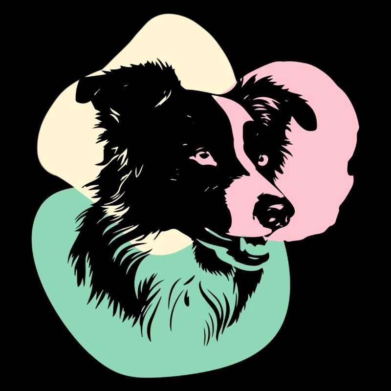 Tête de Border Collie 2