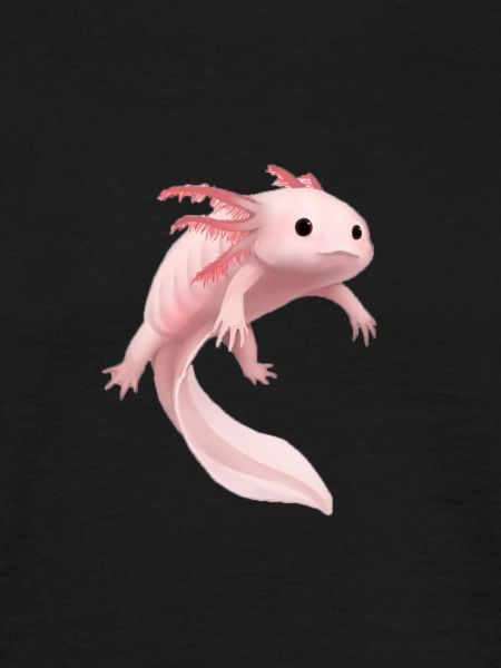 Axolotl