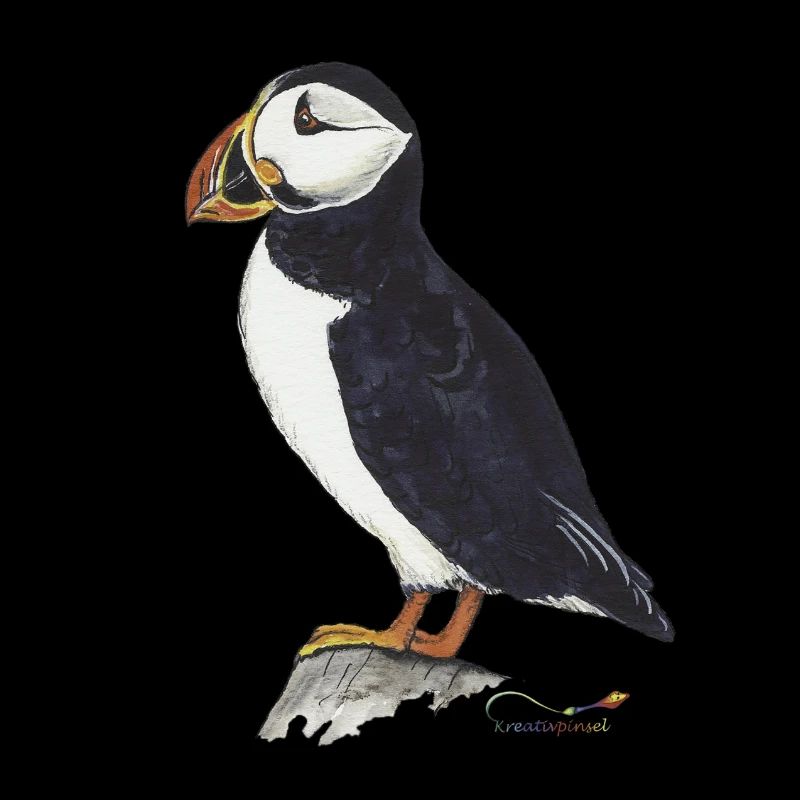 Macareux