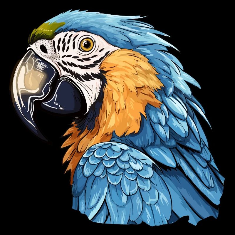 Ara bleu-or