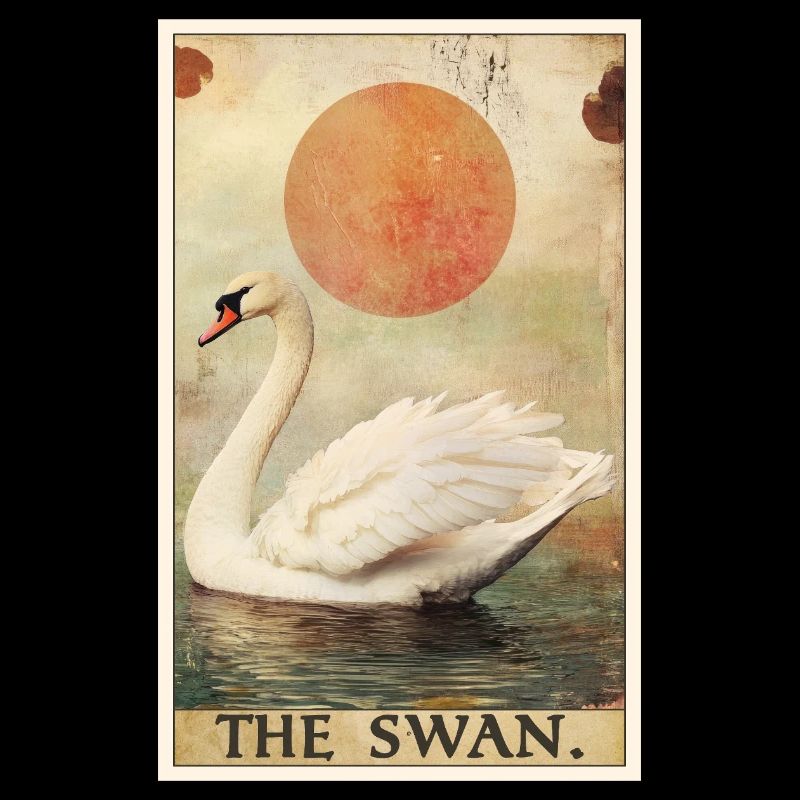 Swans Swan