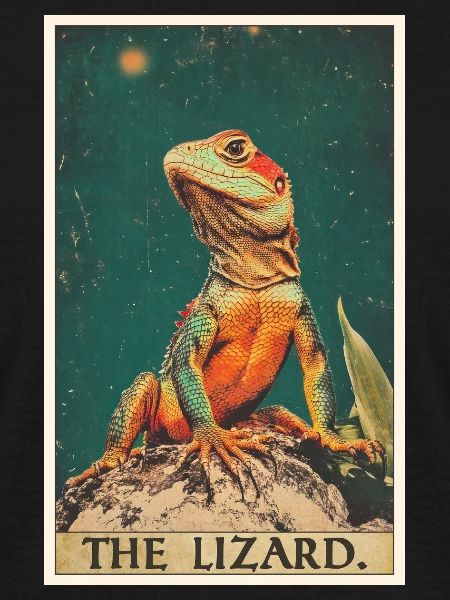 Lizards Lizard