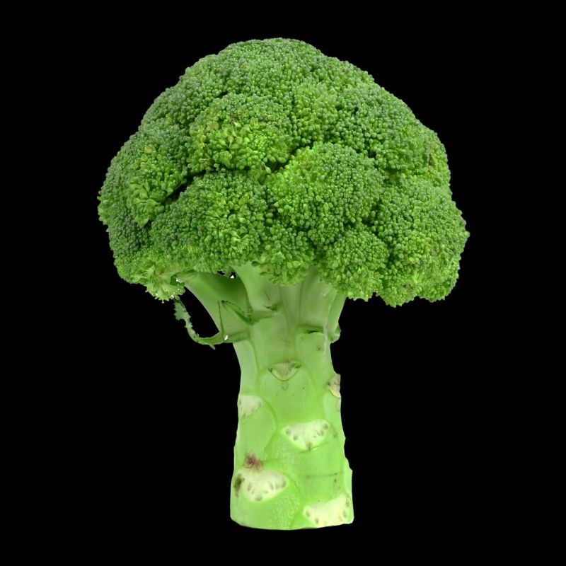 Broccoli. broccoli