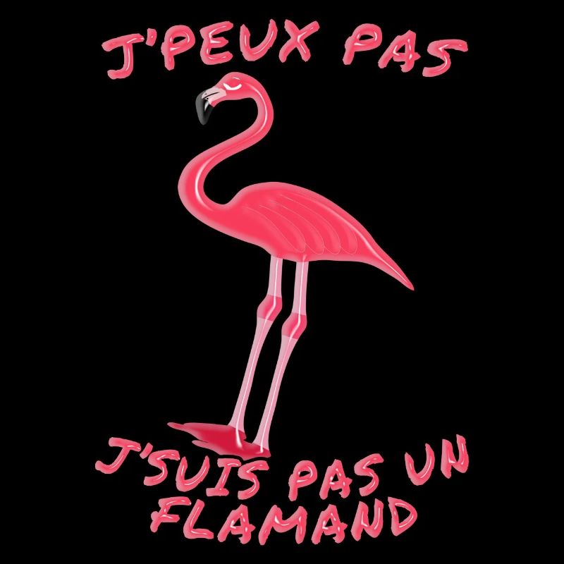j'peux pas j'suis pas un flamand