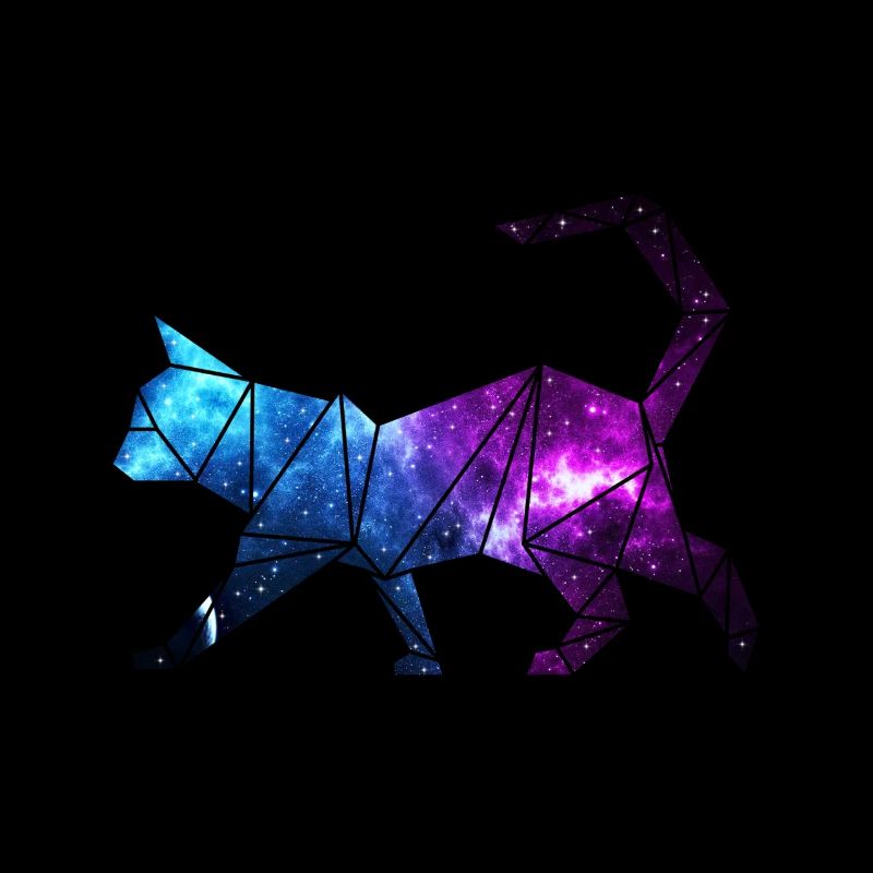 Galaxy Cat - Universum Katze