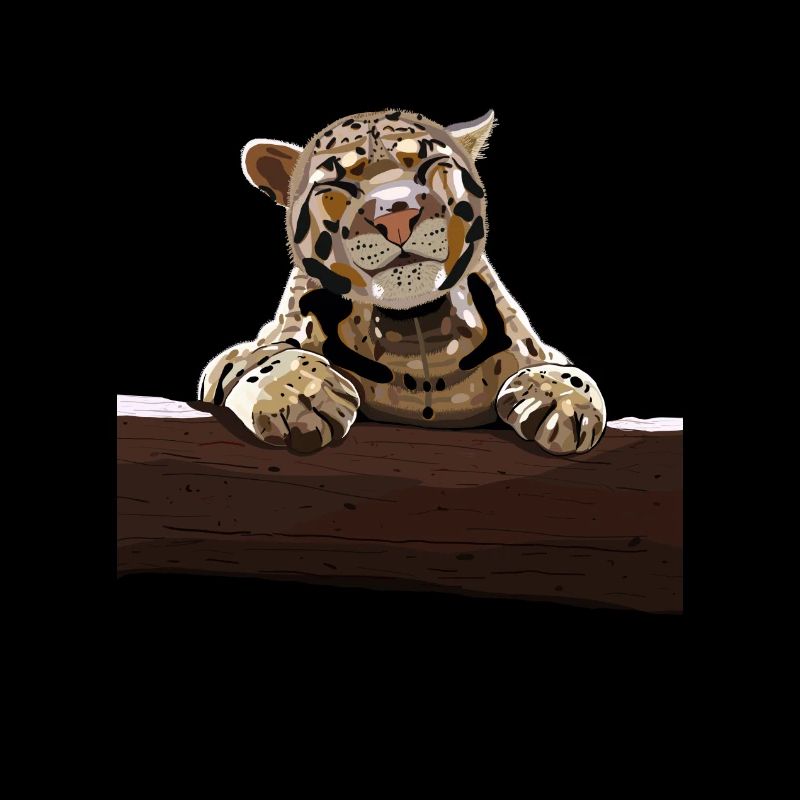 Nebula