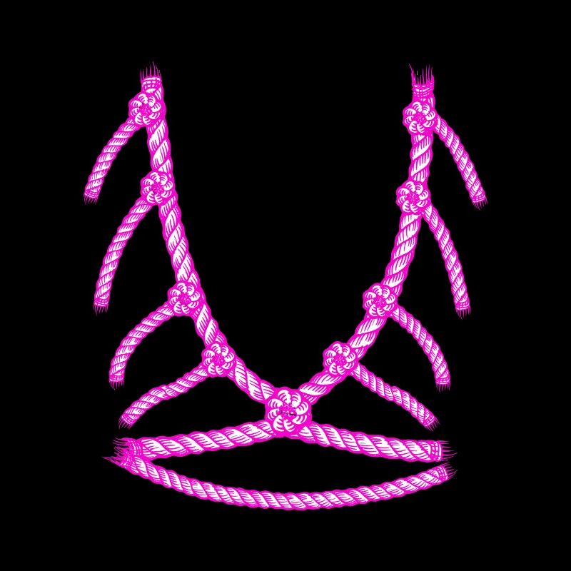 Shibari 2 rose