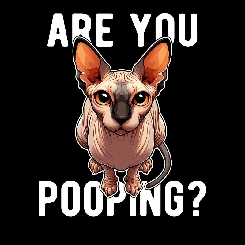 Est-ce que tu fais caca ? Drôle de chat Sphynx