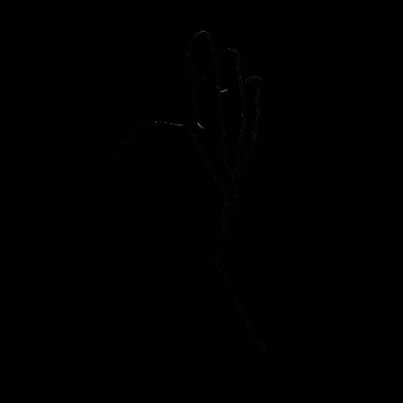 Handzeichen OK mit schrift