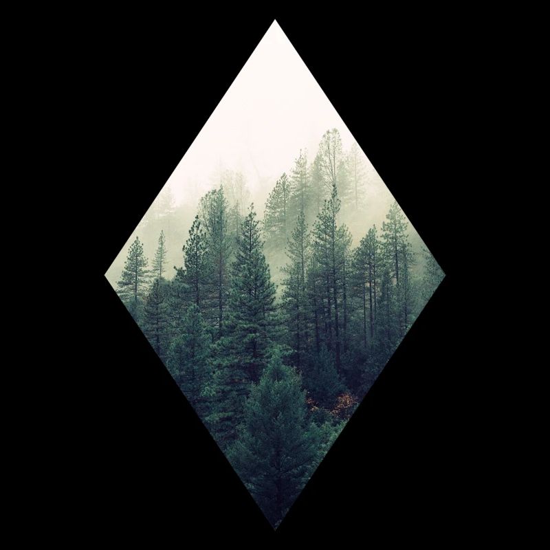 foresta