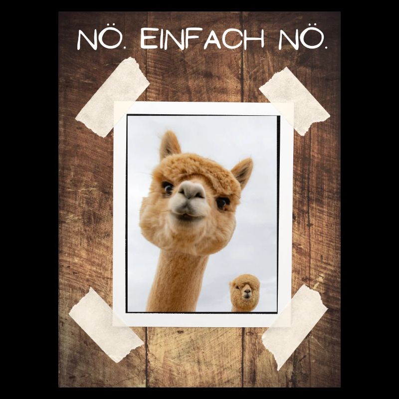 NÖ Einfach NÖ