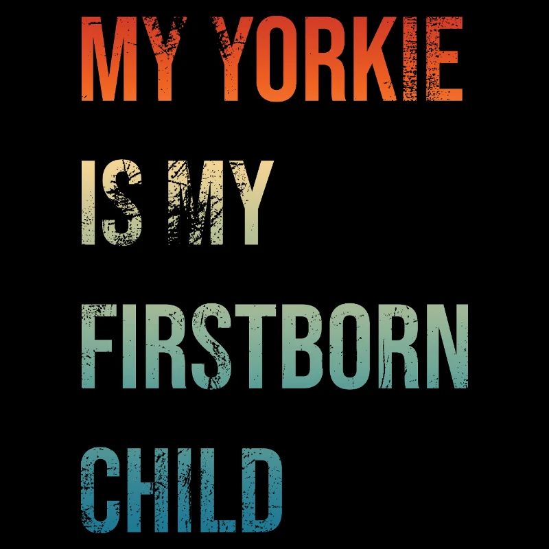 Yorkie Firstborn