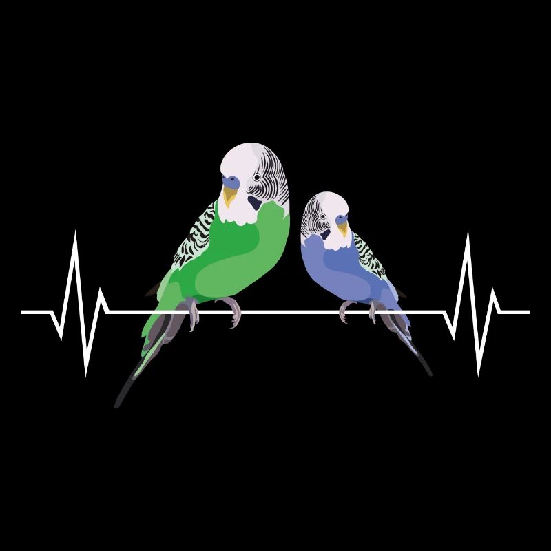 Budgerigar Bird Heartbeat