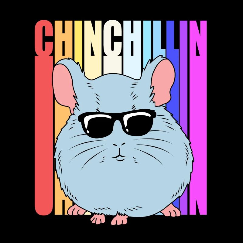 Chinchilla