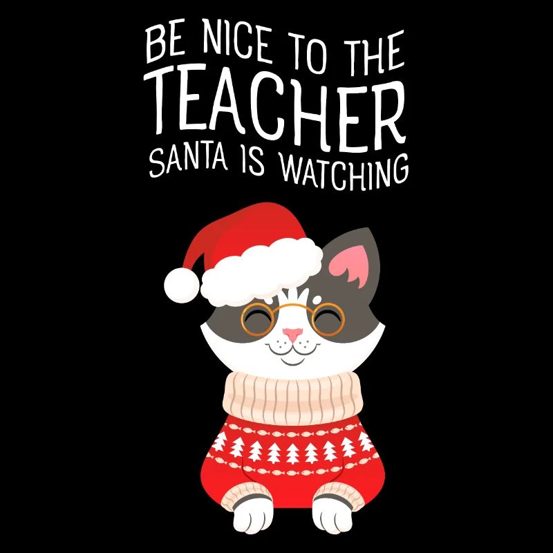 Soyez gentil avec le professeur Le Père Noël regarde le chat
