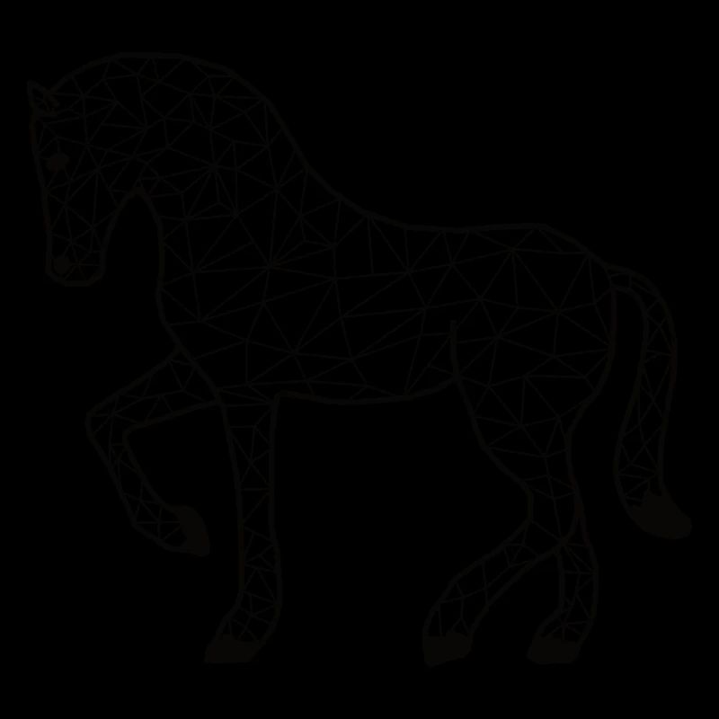 Horsee GeomeTRIX