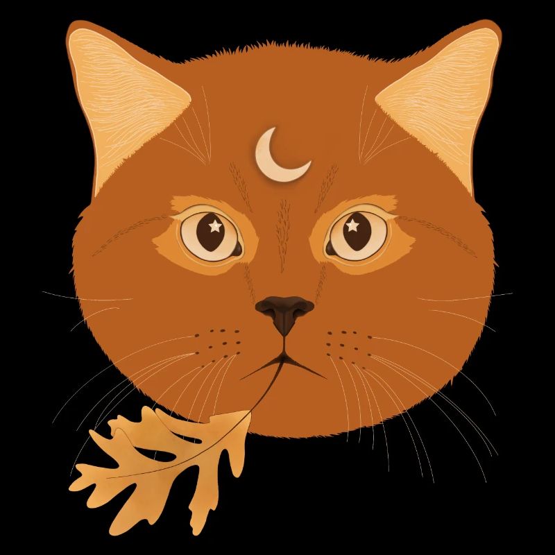 Chat d’automne