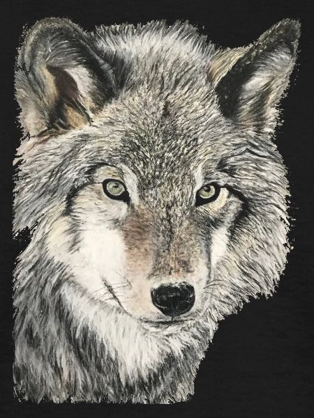 wolf
