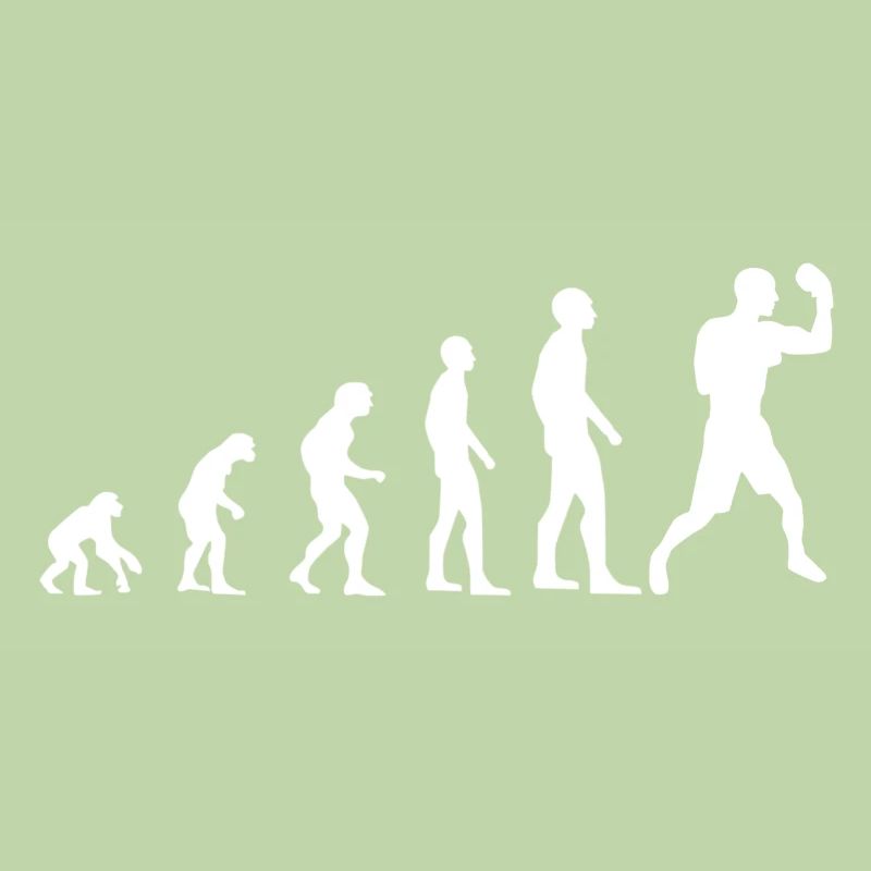 Boxing Evolution