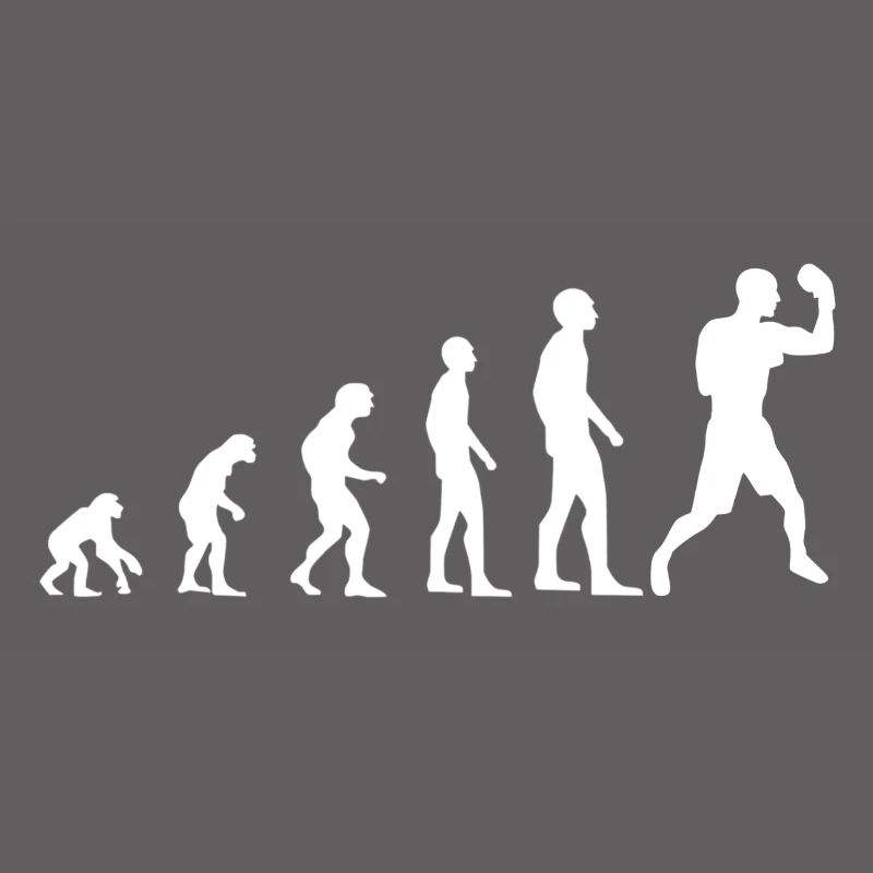 Évolution de la boxe