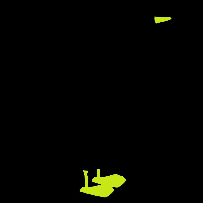 goose